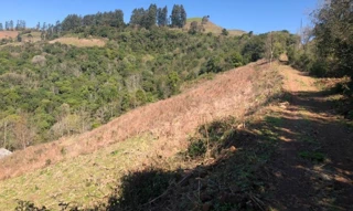 Imóvel 2512881 [''] - ['Linha São Pedro, interior (Conhecida também como Linha Salete), s/nº'] [''] - ['Barros Cassal']/['RS'] - 1