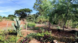 Imóvel 2866181 [''] - ['Lote de terras nº 1/1-B-2, 2ª secção da Gleba Corumbataí, bairro rural denominado Santo Antônio'] [''] - ['Corumbataí Do Sul']/['PR'] - 1