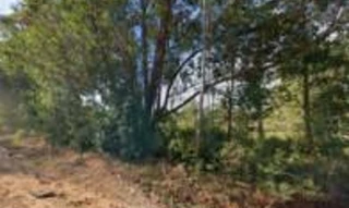 Imóvel 2659381 [''] - ['Terreno c/ 960m², lote 36, quadra 9, Lot. Rural Eldorado, IVª parte'] [''] - ['Eldorado Do Sul']/['RS'] - 1