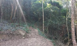 Imóvel 2296581 ['1444419578024'] - ['R JORNALISTA CARLOS SILVA,N. 0 LOTE 18, QUADRA 435, PIRATININGA - CEP: 24300-000, NITEROI - RIO DE JANEIRO'] ['Piratininga'] - ['Niterói']/['RJ'] - 1