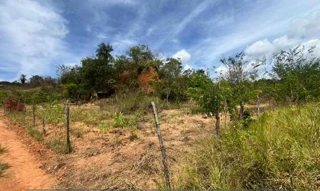 Imóvel 2697781 ['1444423696931'] - ['BR 408 KM 86,N. 0 AREA D 09, BR 408 KM 86 - CEP: 55825-000, PAUDALHO - PERNAMBUCO'] ['Zona Rural'] - ['Paudalho']/['PE'] - 1