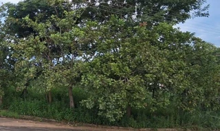 Imóvel 3058381 [''] - ['Av. Maranhão, QD 15, LT 01, Vila Residencial de Minaçu/GO'] [''] - ['Minaçu']/['GO'] - 1