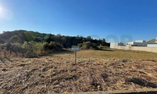 Imóvel 2128081 [''] - ['Rua A, S/N'] [''] - ['Flores Da Cunha']/['RS'] - 1