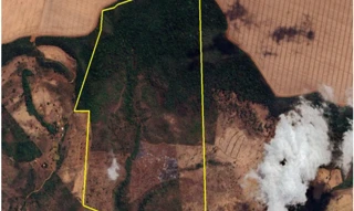 Imóvel 2961382 [''] - ['Estrada Municipal, s/nº - Fazenda Volta do Mato - Zona Rural - Riachão / MA'] [''] - ['Riachão']/['MA'] - 1