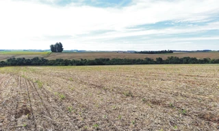 Imóvel 2696182 [''] - ['INTERIOR'] [''] - ['São Miguel das Missões']/['RS'] - 1