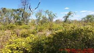 Imóvel 2599382 [''] - ['São Pedro dos Crentes, MA'] [''] - ['São Pedro Dos Crentes']/['MA'] - 1