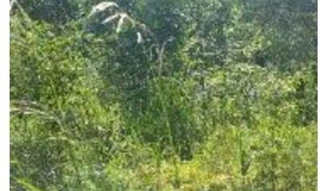 Imóvel 2709482 [''] - ['Rua Rs - 132, s/nº - Área Rural, situada no lugar denominado Dr. Montauri - Zona Rural - Vila Maria / RS'] [''] - ['Vila Maria']/['RS'] - 1