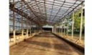 Imóvel 2698082 [''] - ['Alto Jequitibá, Santa Maria de Jetibá/ES'] [''] - ['Santa Maria De Jetibá']/['ES'] - 1