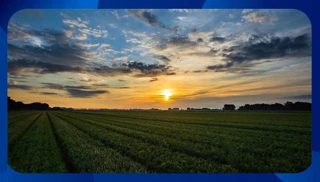 Imóvel 1701682 [''] - ['Avenida Alfredo Balthazar da Silveira, 580'] ['Barra da Tijuca'] - ['Rio De Janeiro']/['RJ'] - 1