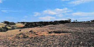 Imóvel 2931082 [''] - ['Fazenda Santa Rita, lugar denominado Estreito, saída da cidade de Vianópolis pela GO 139, KM 9, a esquerda 10 km'] [''] - ['Vianópolis']/['GO'] - 1