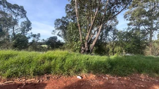 Imóvel 2592282 [''] - ['LOTE DE TERRENO N. 2(DOIS), DA QUADRA N. 7(SETE), SITUADO NO JARDIM CENTENÁRIO, MEDINDO 15M(QUINZE METROS) DE FRENTE PARA A RUA N. 2'] ['Boa Vista'] - ['Ponta Grossa']/['PR'] - 1