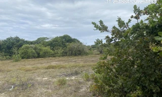 Imóvel 2275482 ['IDR184608'] - ["Rua QZ, s/n, Quadra 68, Lote 17, Loteamento Vila Rica do Abais, Itaporanga D'Ajuda, SE, 49120-000"] [''] - ["Itaporanga D'Ajuda"]/['SE'] - 1