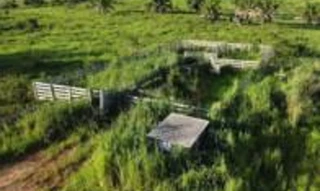 Imóvel 2723082 [''] - ['Estrada 15 km do centro urbano'] ['Centro'] - ["Espigão D'Oeste"]/['RO'] - 1