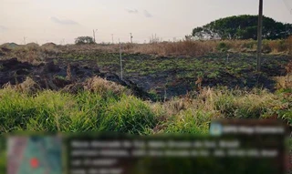 Imóvel 2602682 [''] - ['Rua Zaide Barbosa de Souza 1.331 (Lote 09 da Quadra 105)'] [''] - ['Nova Alvorada Do Sul']/['MS'] - 1