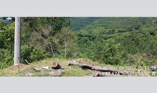 Imóvel 3031282 [''] - ['Nao informado Nao informado situado na Estrada Rio Cai'] [''] - ['Nova Petrópolis']/['RS'] - 1