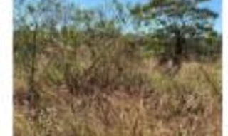 Imóvel 2601382 [''] - ['Rua Cobre, s/nº, Loteamento Distrito Industrial'] ['Jardim Kennedy'] - ['Poços De Caldas']/['MG'] - 1