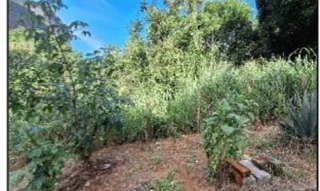 Imóvel 2604182 [''] - ['RUA CONCEICAO DO CASTELO, N. S/N, QD 05, LT 08'] ['Jardim Carapina'] - ['Serra']/['ES'] - 1