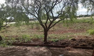 Imóvel 2376182 [''] - ['Rua Jovino Rossi, 247, lote 18, quadra 15'] [''] - ['Terra Roxa']/['PR'] - 1