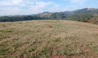 Imóvel 2596382 [''] - ['Linha Bracanjuva, interior de Saltinho/SC/'] [''] - ['Saltinho']/['SC'] - 1