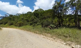 Imóvel 3093383 [''] - ['área de terras, medindo 8 alqueires e 8.326,446m², em Ipanema do Norte, Município de Guaraqueçaba, e limitando ainda com herdeiros de Miguel Nasser'] [''] - ['Guaraqueçaba']/['PR'] - 1