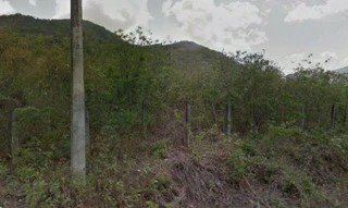 Imóvel 2478083 [''] - ['Sítio Talhadão, s/nº - Serra Coité - Caucaia / CE'] [''] - ['Caucaia']/['CE'] - 1