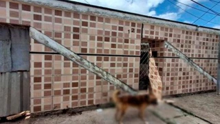 Imóvel 2715483 [''] - ['Rua São Sebastião, 12A, São Bernardo, São Luís, MA'] ['São Bernardo'] - ['São Luís']/['MA'] - 1