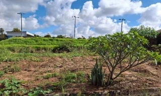 Imóvel 2693583 [''] - ['Data de terras sob o nº 3, da quadra nº 4, com área de 310,66m2, situado no loteamento Jardim Casagrande'] [''] - ['Mandaguaçu']/['PR'] - 1