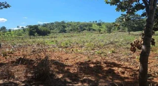 Imóvel 2340583 [''] - ['RODOVIA BR-153 -, S/N, ZONA RURAL'] [''] - ['outras']/['na'] - 1
