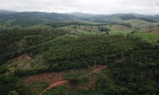 Imóvel 2997883 [''] - ['Fazenda Espírito Santo / Gleba 07, s/n - Situada no lugar denominado Córrego Jacutinga, afluente do Rio Mucuri - Zona Rural - Teófilo Otoni / MG'] ['Mucuri'] - ['Teófilo Otoni']/['MG'] - 1