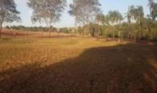 Imóvel 2973283 [''] - ['Fazenda Paredão, no Município de Quirinópolis'] ['Centro'] - ['Quirinópolis']/['GO'] - 1
