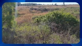 Imóvel 2633783 [''] - ['Estrada Federal BR-293 (KM 136,5)'] [''] - ['Candiota']/['RS'] - 1