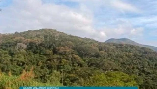 Imóvel 2667583 [''] - ['Rodovia BR-116, entre os KM 49 e 51, Vale do Paquequer, Teresópolis, RJ'] [''] - ['Teresópolis']/['RJ'] - 1