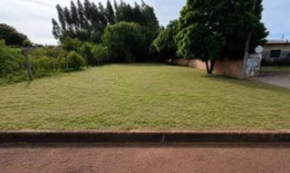 Imóvel 2915983 [''] - ['Rua Duque de Caxias, s/n, Imigrantes, Lote 02, Quadra 202'] [''] - ['Palotina']/['PR'] - 1