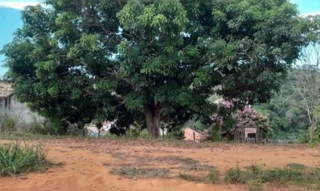 Imóvel 2593683 [''] - ['Rua Manoel Ferreira, Granja Maria Ângela, lote 74 - Granja 03 de Outubro Além Paraíba - MG'] ['Morro do Boiadeiro'] - ['Além Paraíba']/['MG'] - 1