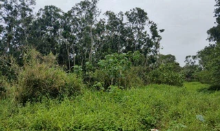 Imóvel 2565183 [''] - ['Lote 05 da quadra 48 da planta BALNEARIO IPACARAI, Rua 09'] [''] - ['Matinhos']/['PR'] - 1