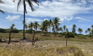 Imóvel 2275483 ['IDR184631'] - ["Estrada do Abais, s/n, Quadra 104, Lote 13, Loteamento Vila Rica do Abais, Itaporanga D'Ajuda, SE, 49120-000"] [''] - ["Itaporanga D'Ajuda"]/['SE'] - 1