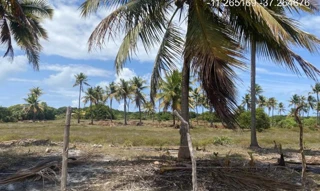 Imóvel 2275483 ['IDR184631'] - ["Estrada do Abais, s/n, Quadra 104, Lote 13, Loteamento Vila Rica do Abais, Itaporanga D'Ajuda, SE, 49120-000"] [''] - ["Itaporanga D'Ajuda"]/['SE'] - 1