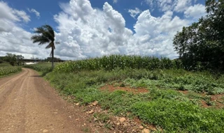 Imóvel 2662483 [''] - ['Interior, s/nº'] [''] - ['Erechim']/['RS'] - 1