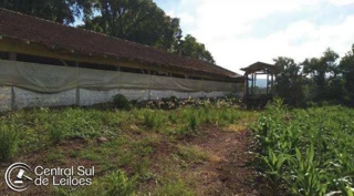 Imóvel 2917883 [''] - ['localidade de Samburá Fazenda São Miguel do Toldo Velho'] [''] - ['Ipuaçu']/['SC'] - 1