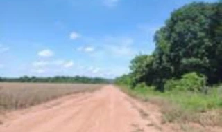 Imóvel 2493483 [''] - ['Fazenda Toca da Onça, Projeto de Colonização Mutum 1ª Etapa'] [''] - ['Nova Mutum']/['MT'] - 1