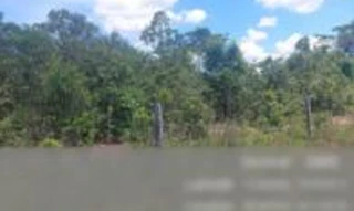 Imóvel 2493483 [''] - ['Fazenda Toca da Onça, Projeto de Colonização Mutum 1ª Etapa'] [''] - ['Nova Mutum']/['MT'] - 1