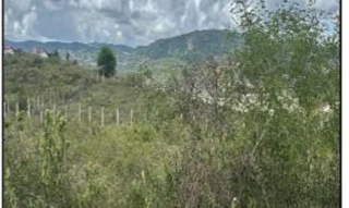 Imóvel 2591083 ['10224692'] - ['RUA PROJETADA,N. SN QD D, LT 18, CRUZEIRO - CEP: 55644-000, GRAVATA - PERNAMBUCO'] ['Cruzeiro'] - ['Gravatá']/['PE'] - 1