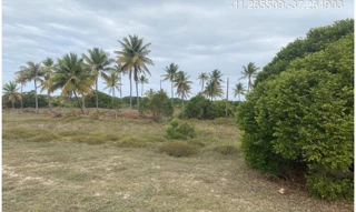 Imóvel 2955683 [''] - ["Estrada do Abais, s/n - Quadra 104, Lote 15 - Loteamento Vila Rica do Abais - Itaporanga d'Ajuda / SE"] [''] - ["Itaporanga D'Ajuda"]/['SE'] - 1