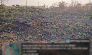 Imóvel 2602683 [''] - ['Rua Domingo Bitencourt da Silveira 3.475 (Lote 08 da Quadra 105)'] [''] - ['Nova Alvorada Do Sul']/['MS'] - 1