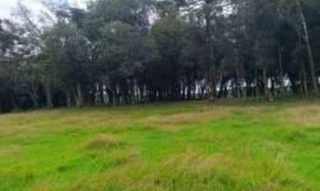 Imóvel 3017783 [''] - ['lugar denominado Marmeleiro, Fazenda São João do Irani, neste município e Comarca de Catanduvas-SC/'] [''] - ['Irani']/['SC'] - 1