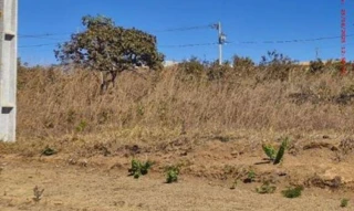 Imóvel 2594783 [''] - ['Rua 1042- Qd. 711, Lt. 09'] [''] - ['Alexânia']/['GO'] - 1