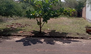 Imóvel 2376183 [''] - ['Rua Jovino Rossi, SN, Lote 28 da Quadra 15'] [''] - ['Terra Roxa']/['PR'] - 1