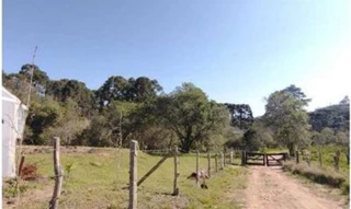 Imóvel 2617183 [''] - ['Lugar Denominado Felpudo'] [''] - ['Campo Largo']/['PR'] - 1