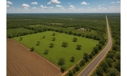 Imóvel rural em Januária, Brejo Do Amparo, Distrito de Brejo do Amparo S/N, MG. Área: 2250m2