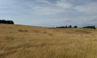 Imóvel 2527184 [''] - ['Ibirapuitã/Bom Sossego'] [''] - ['Ibirapuitã']/['RS'] - 1